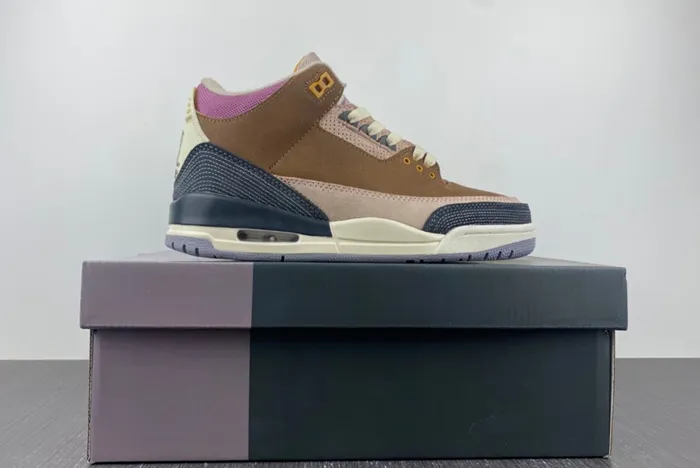 Air Jordan 3 Retro SE DR8869-200