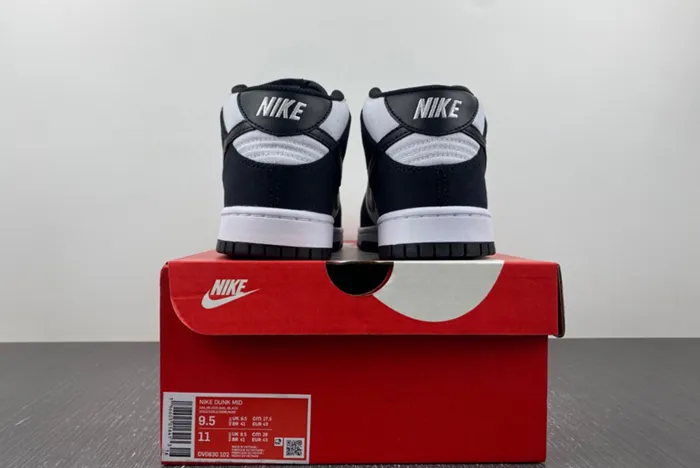 Nike Dunk Mid DV0830-102