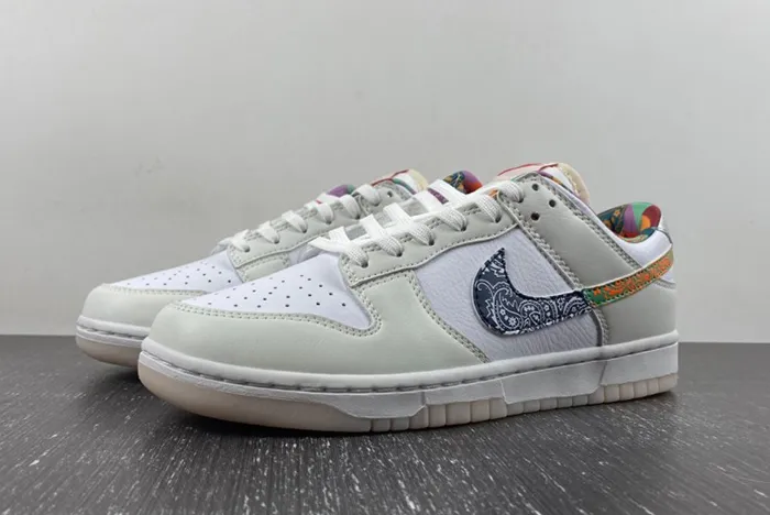 Nike Dunk Low GS FN8913-141