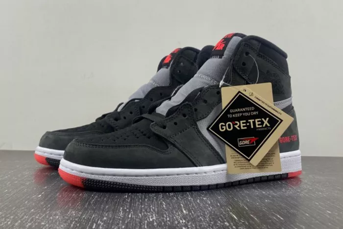 Air Jordan 1 Element Bred DB2889-002